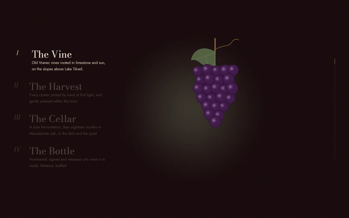 The Vine